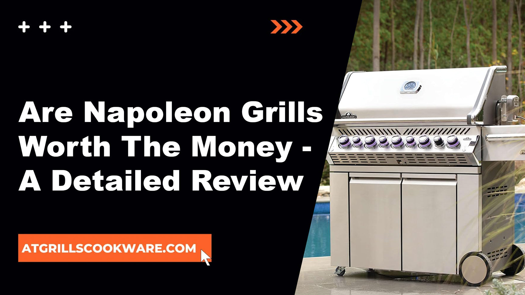 Are Napoleon Grills Worth The Money - A Detailed Review
