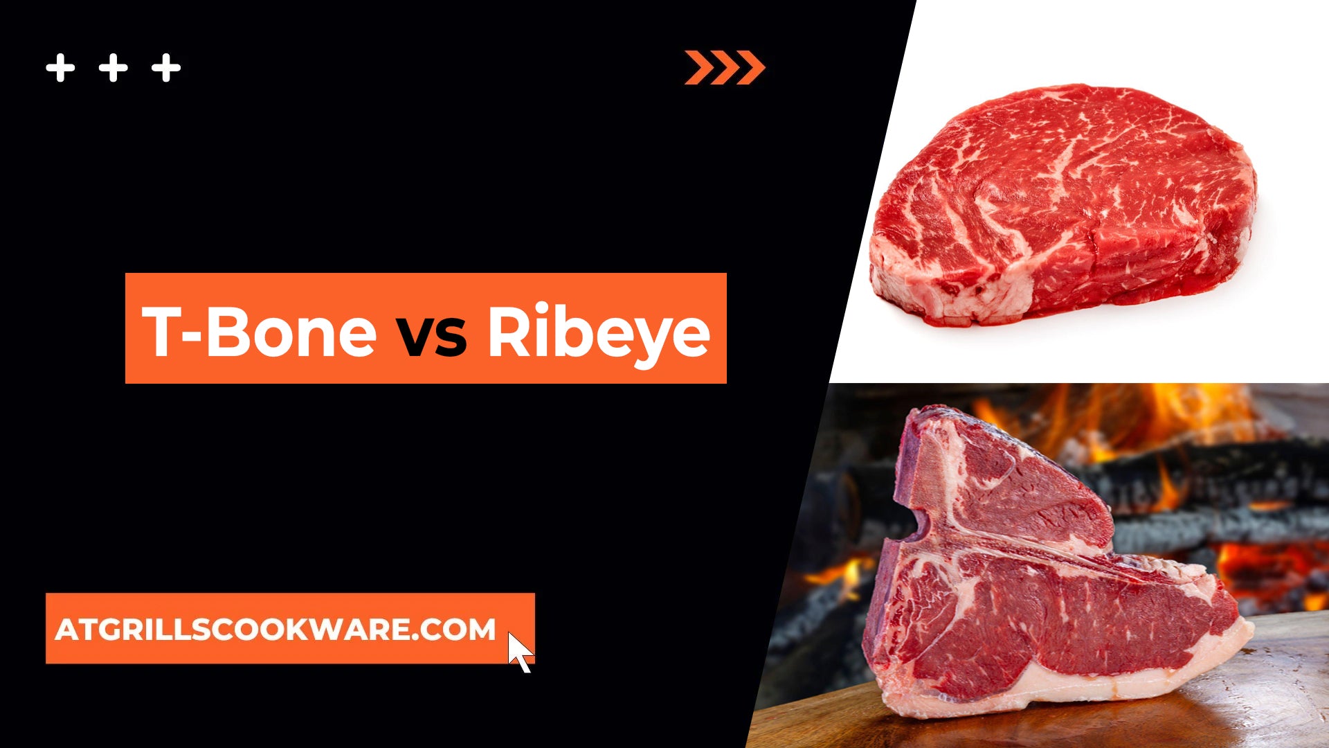 T Bone vs Ribeye Steak - atgrillscookware